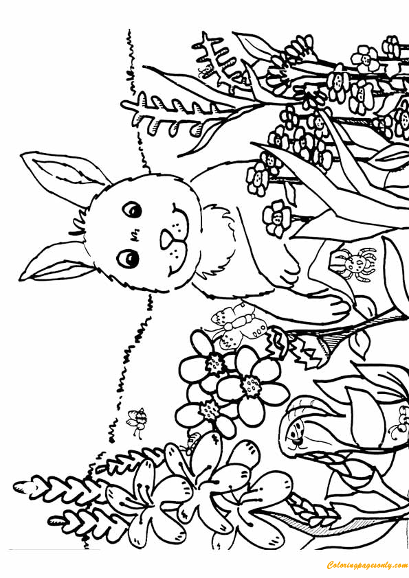 cute rabbit with spring flowers coloring pages nature seasons