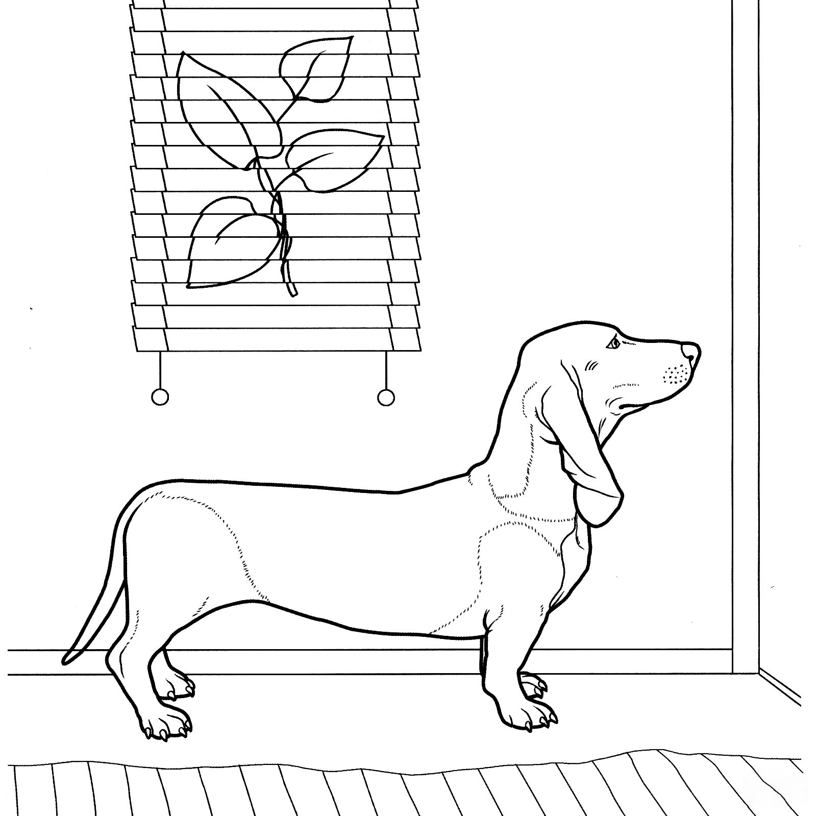 Dachshund Coloring Page Coloring Pages