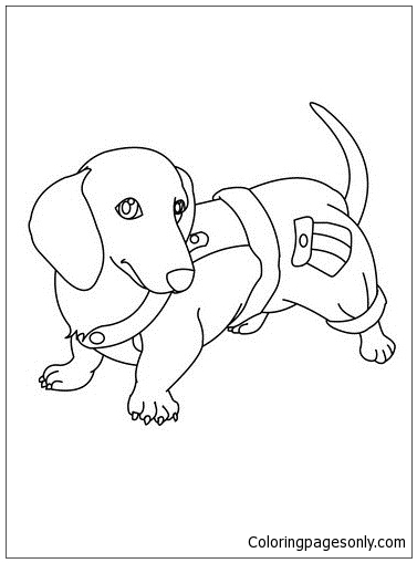 Dachshund Puppy Coloring Pages
