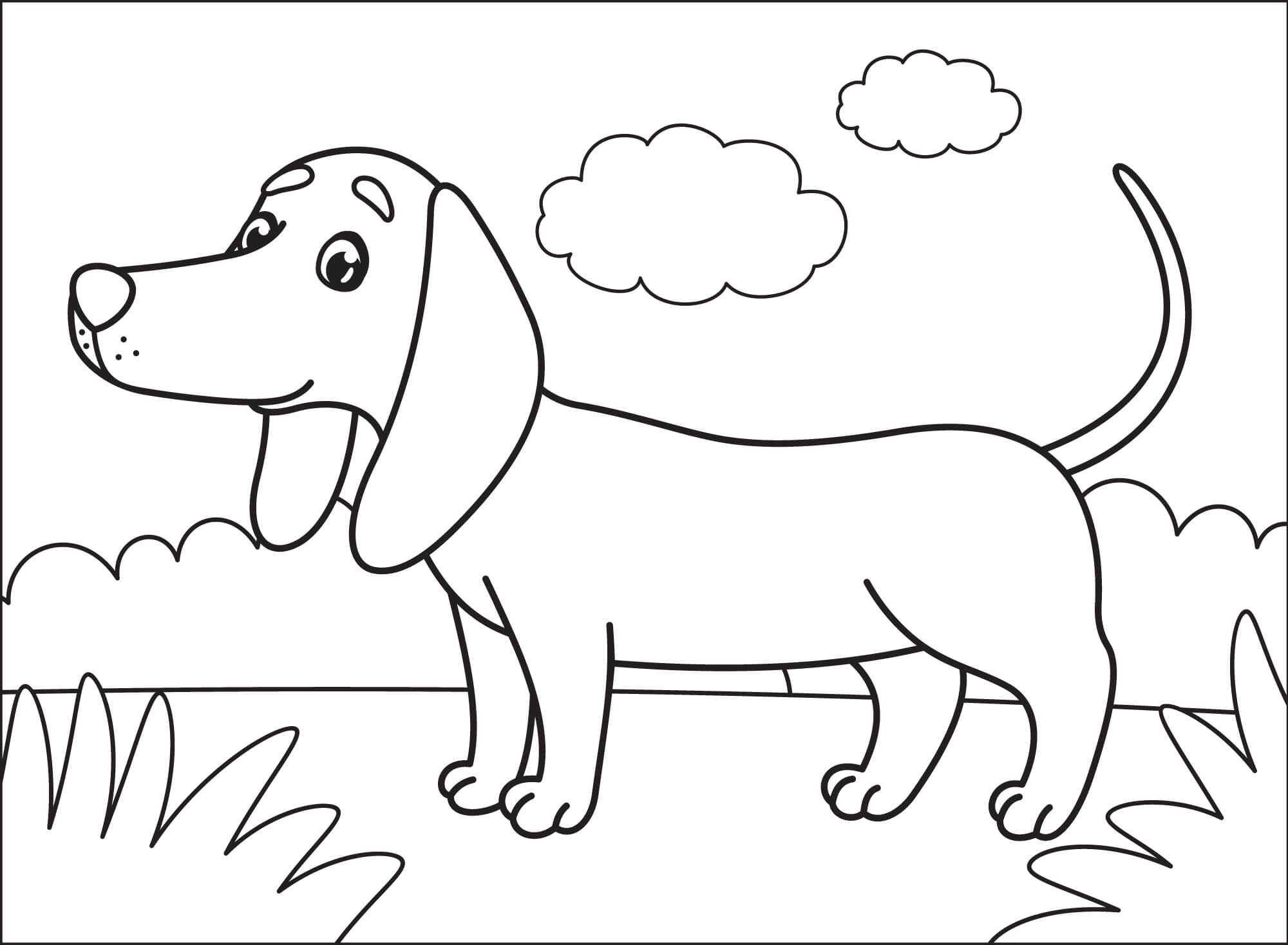 Dachshund Coloring Pages For Kids