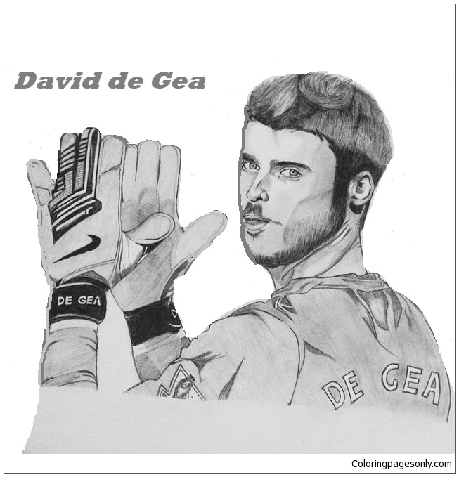 David de Gea-来自足球运动员的图片 4