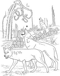 Desert Animals 1 Coloring Pages