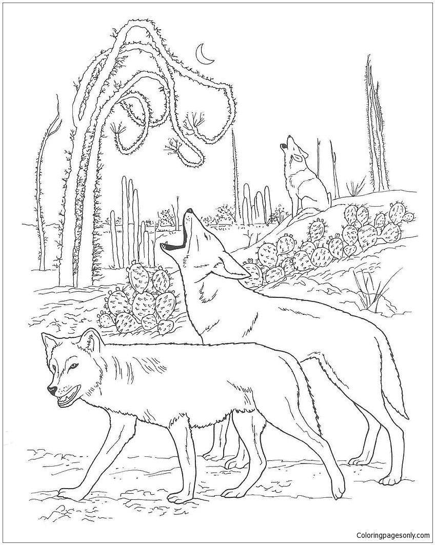 Desert Animals 1 Coloring Pages