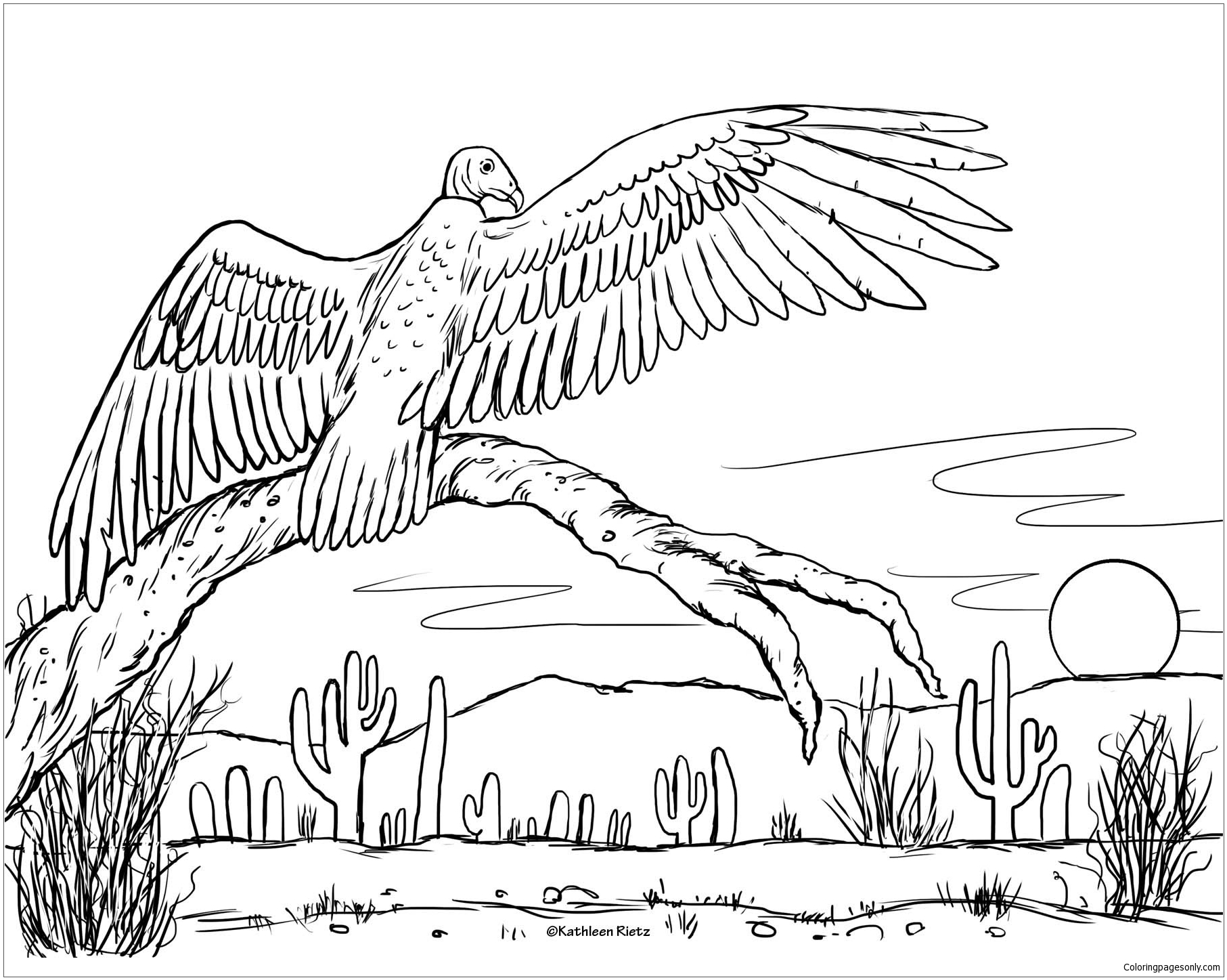 Coloring Page Of Desert Animals - Desert Coloring Pages Best Coloring