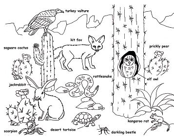 Desert Animals Coloring Page