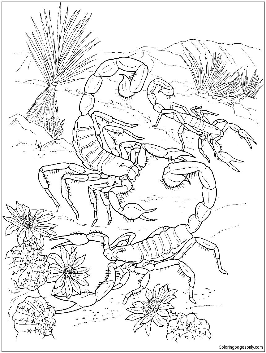 Scorpions du désert des déserts