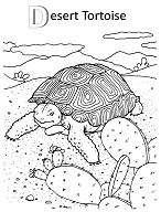 Desert Tortoise Coloring Page