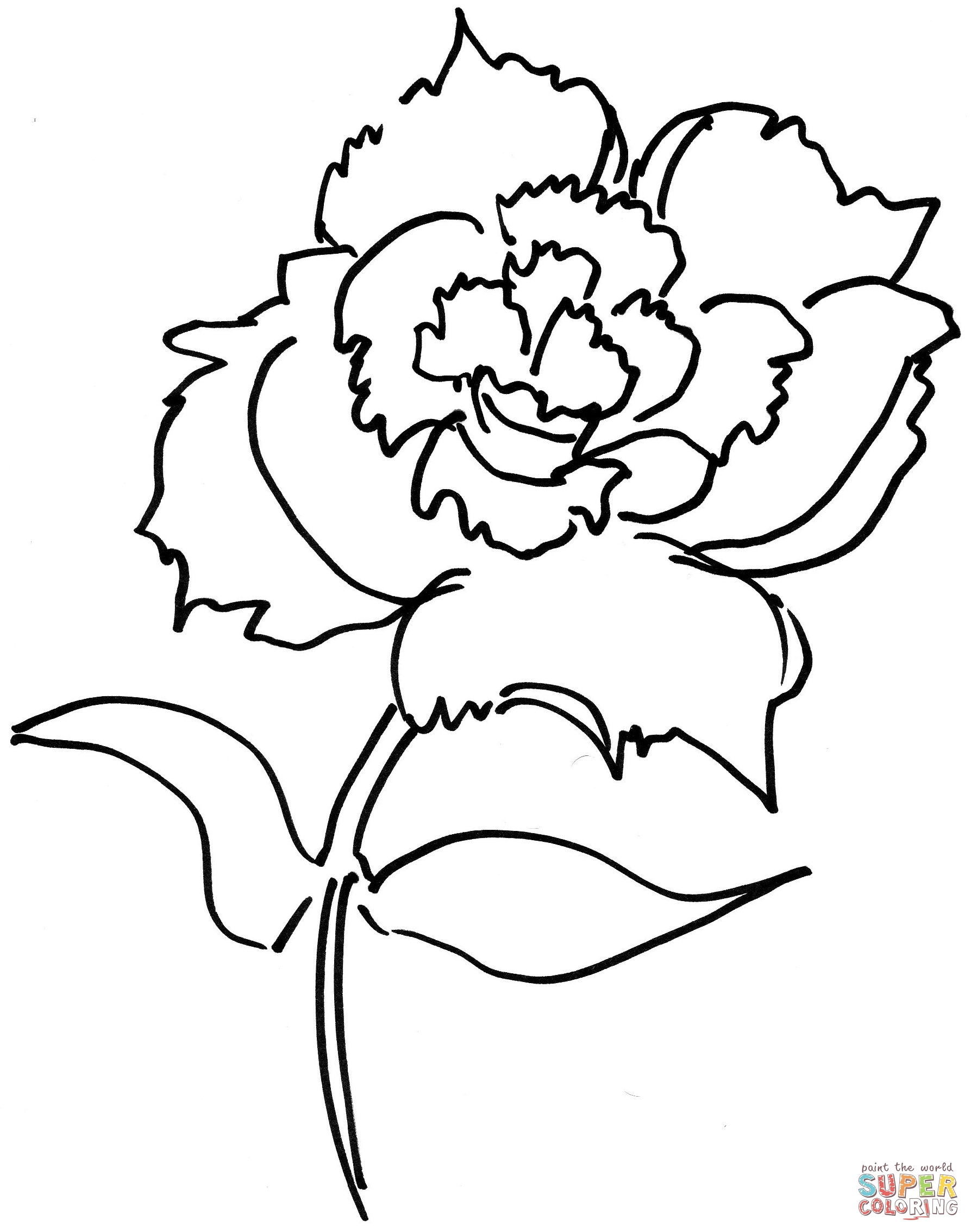 Flor de clavel de clavel
