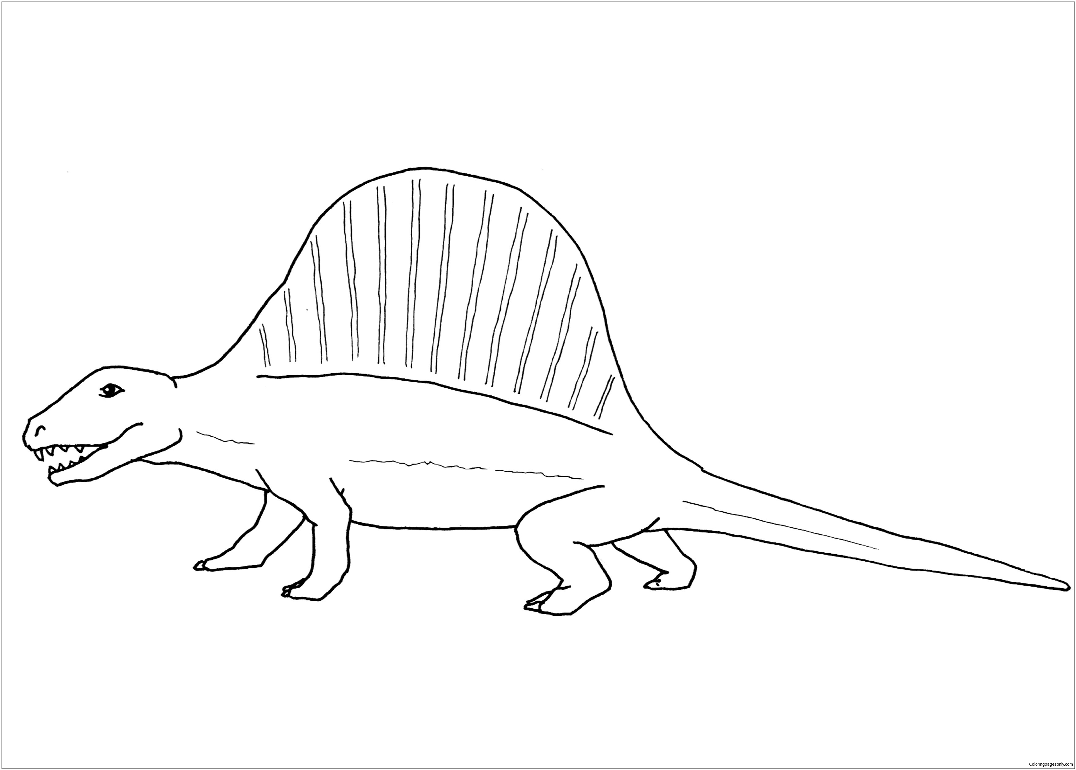 Página para colorir Dimetrodon Dinosaur 1