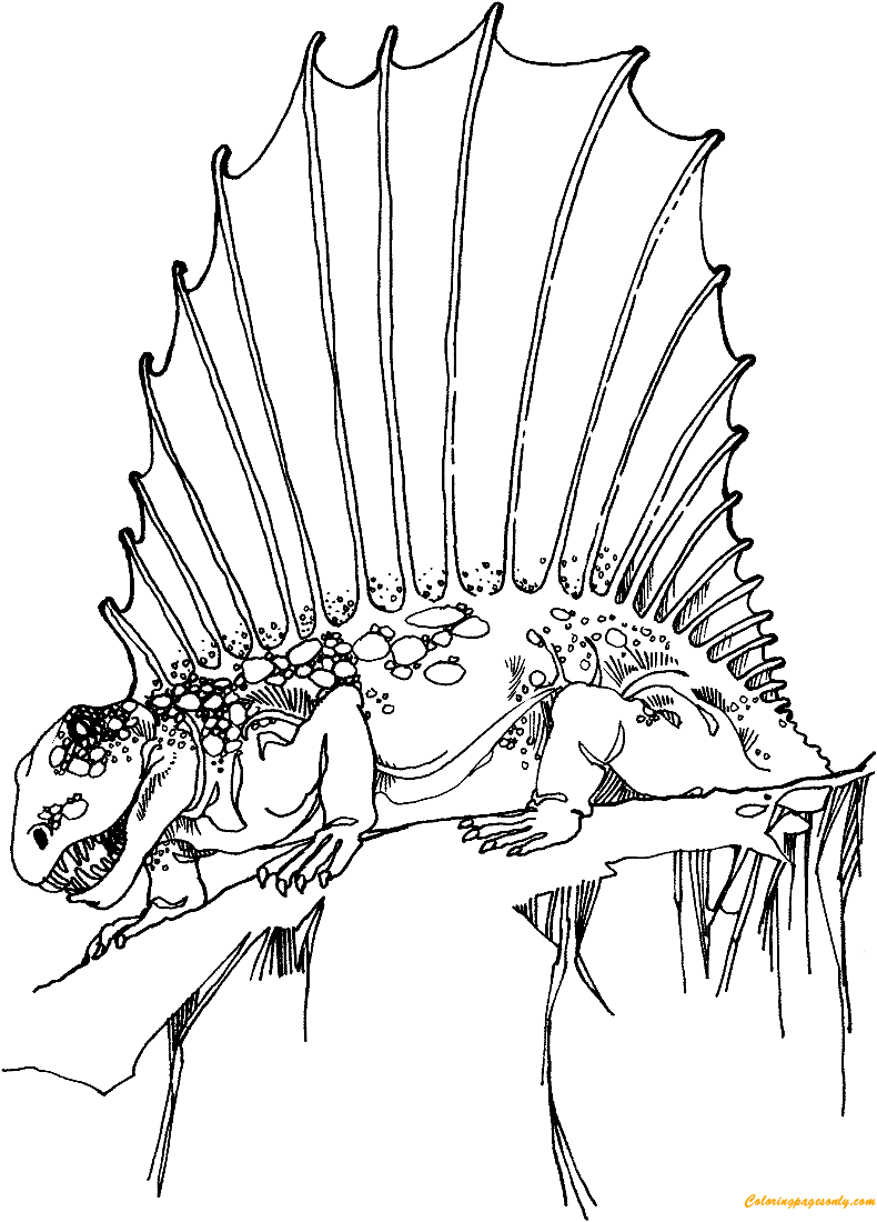 Dimetrodon Early Permian Synapsid Coloring Page