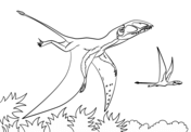 Coloriage Dimorphodon