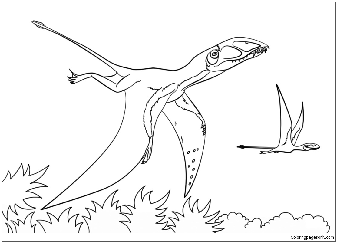 Dimorfodonte de Pteranodonte