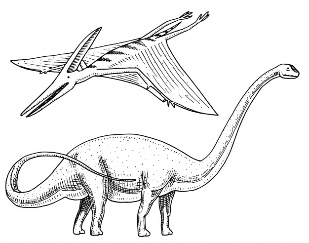 Sauropad dinosaure d'Apatosaurus