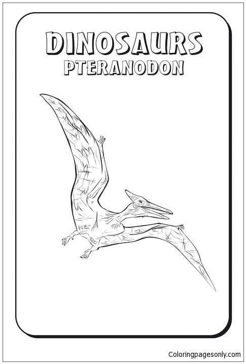 Dinosaurussen Pteranodon van Pteranodon