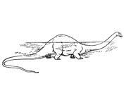 Diplodocus Dinosaur 2 Coloring Page
