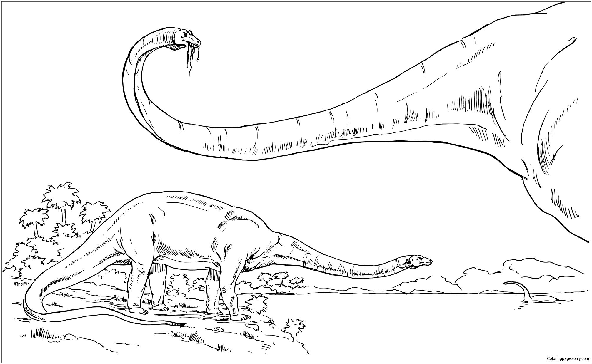 Diplodocus Dinosaur 4 Coloring Pages