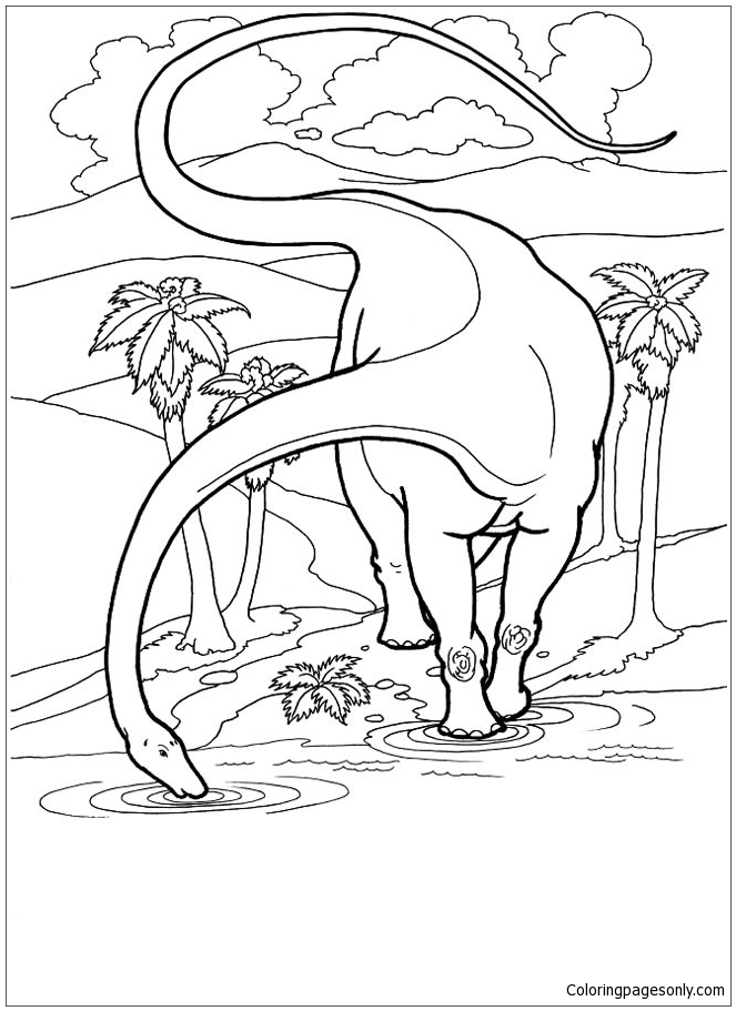 Diplodocus Dinosaurs Coloring Page