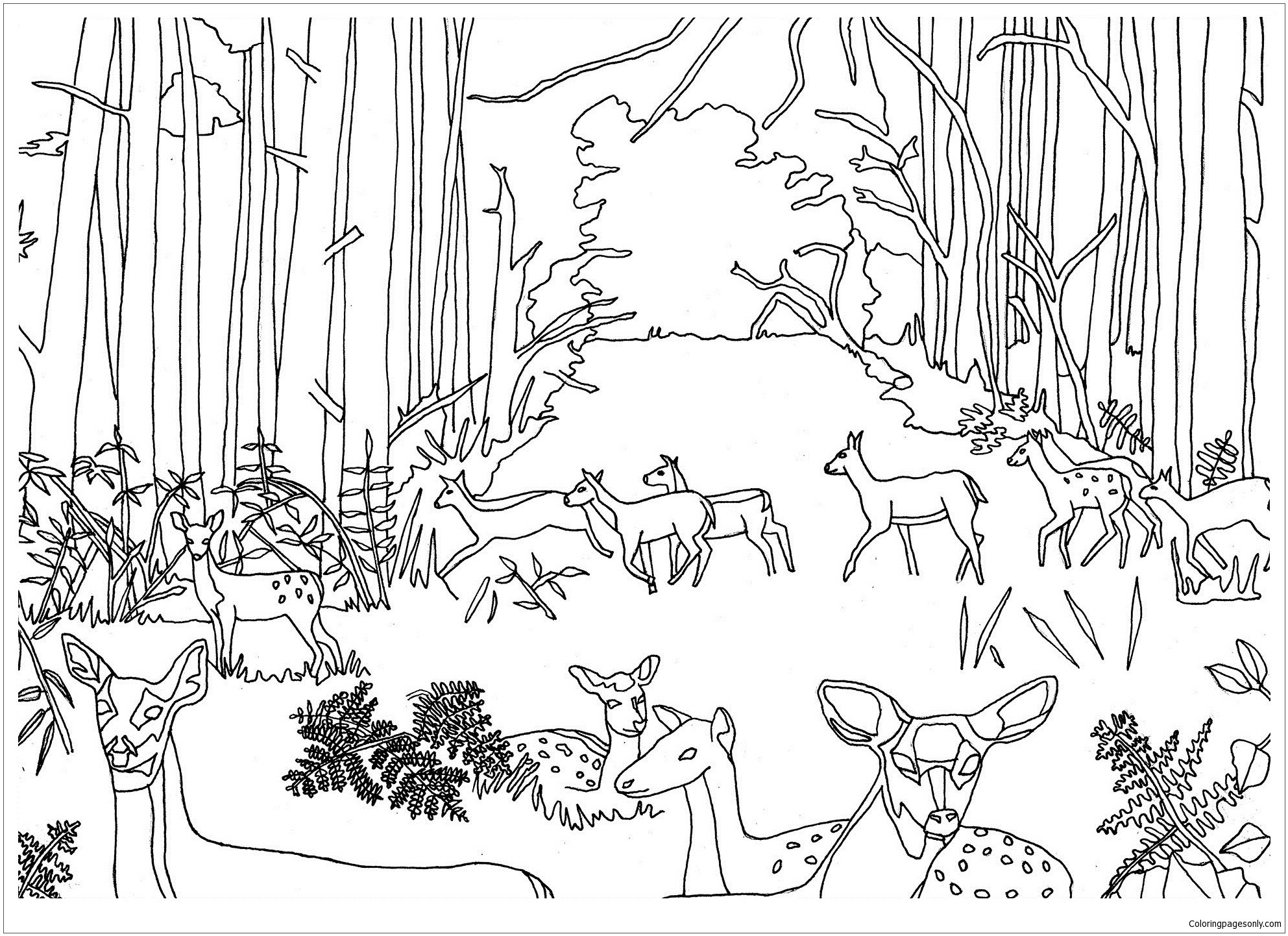 Ciervos y cervatillos en el bosque de Forest