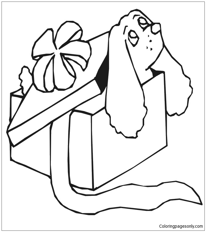 Dog In Gift Box Coloring Pages
