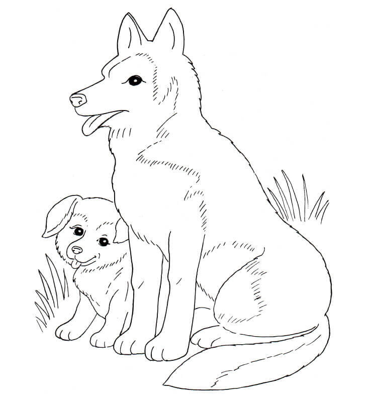 Perro-madre y cachorro Página Para Colorear