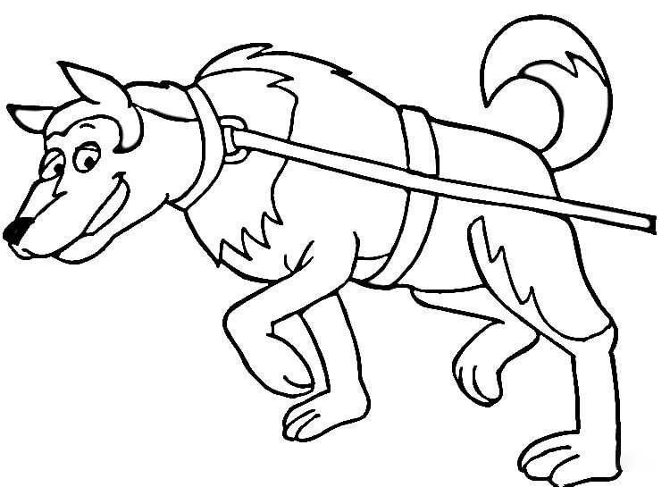 Dog Sled Coloring Pages