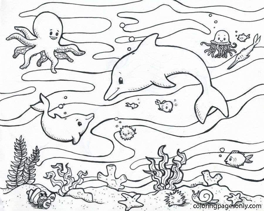 Dolphin Famlily And Their Friends Under The Ocean Coloring Pages