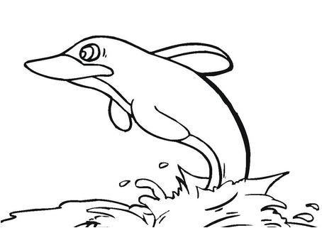 Dolphin In The Sea Coloring Page