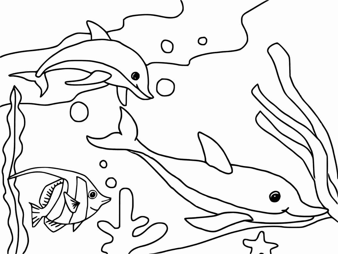 Dibujo de Delfines nadando bajo el mar para colorear