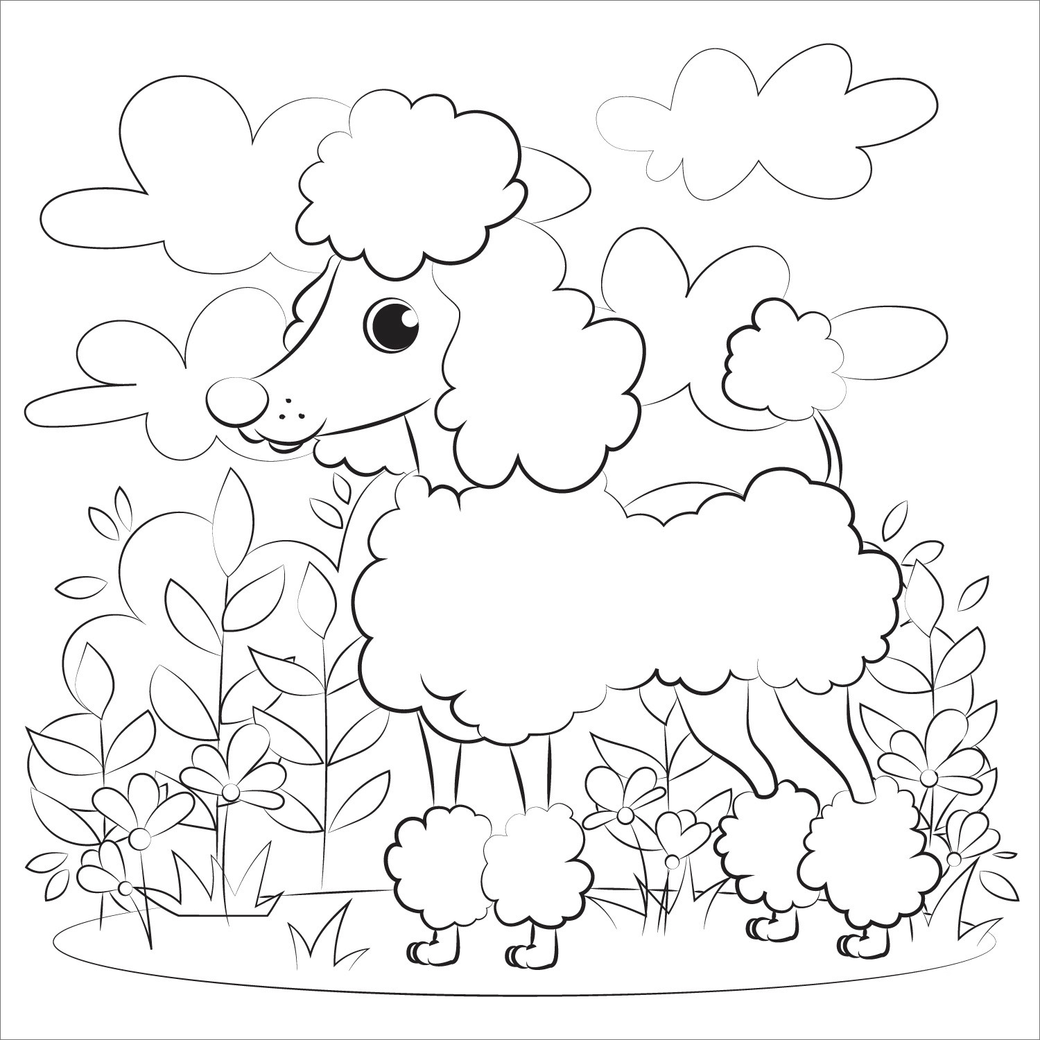 Drawing Poodle Coloring Pages