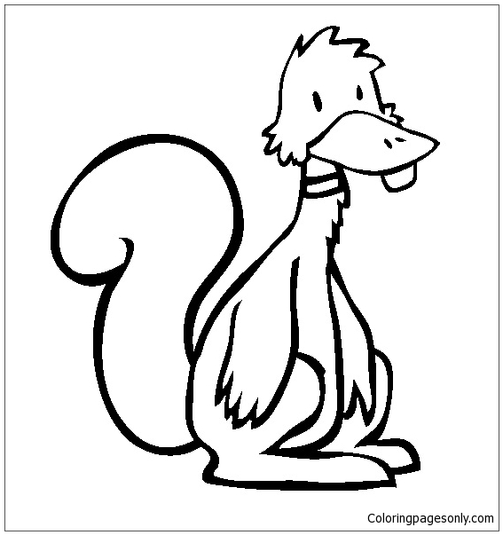 Duck Squirrel Coloring Pages