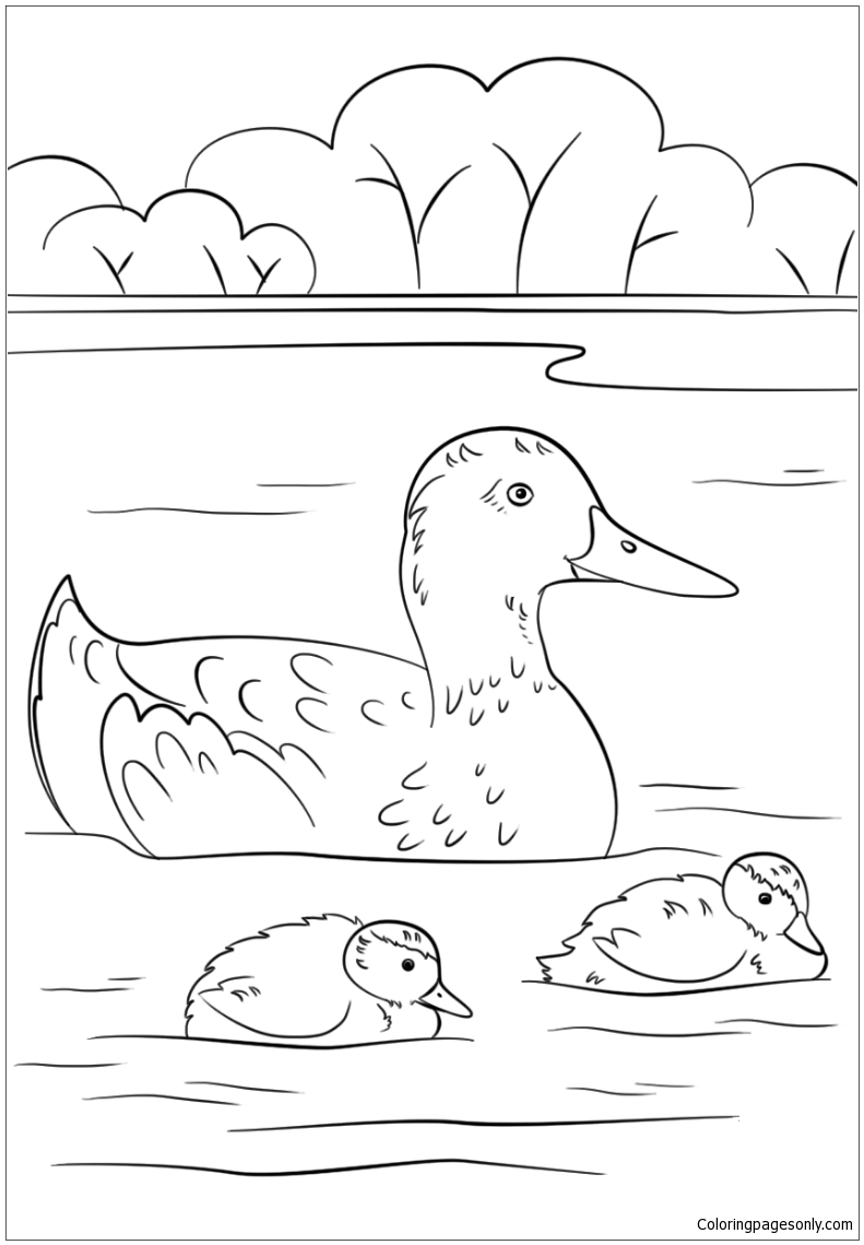 Duck with Ducklings Coloring Page