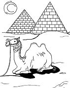 Egyptian Camel Coloring Pages