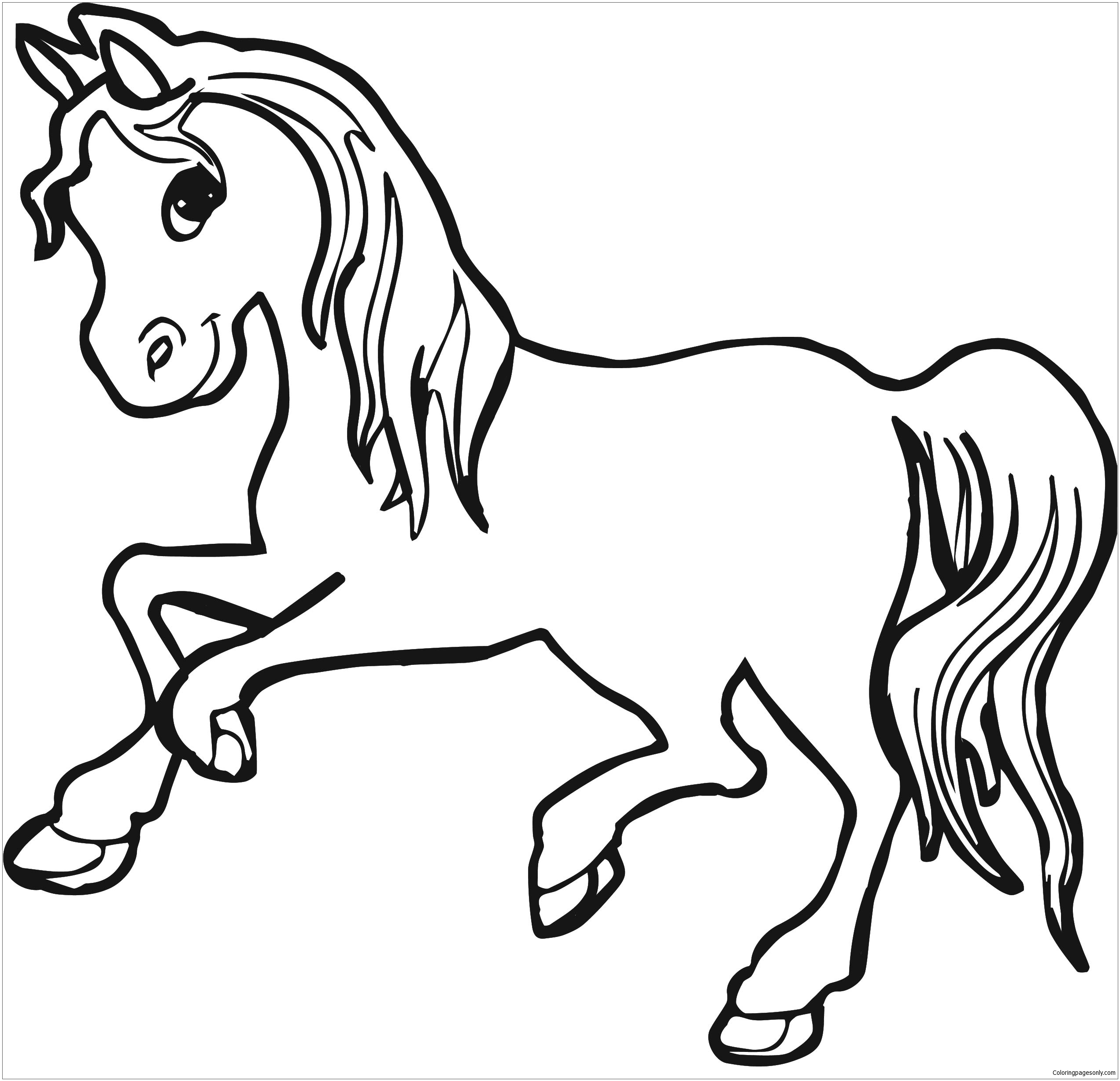 Elegant Horses Coloring Page
