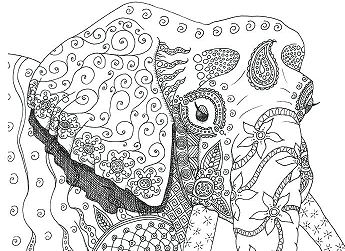 Elephant Hard Coloring Pages