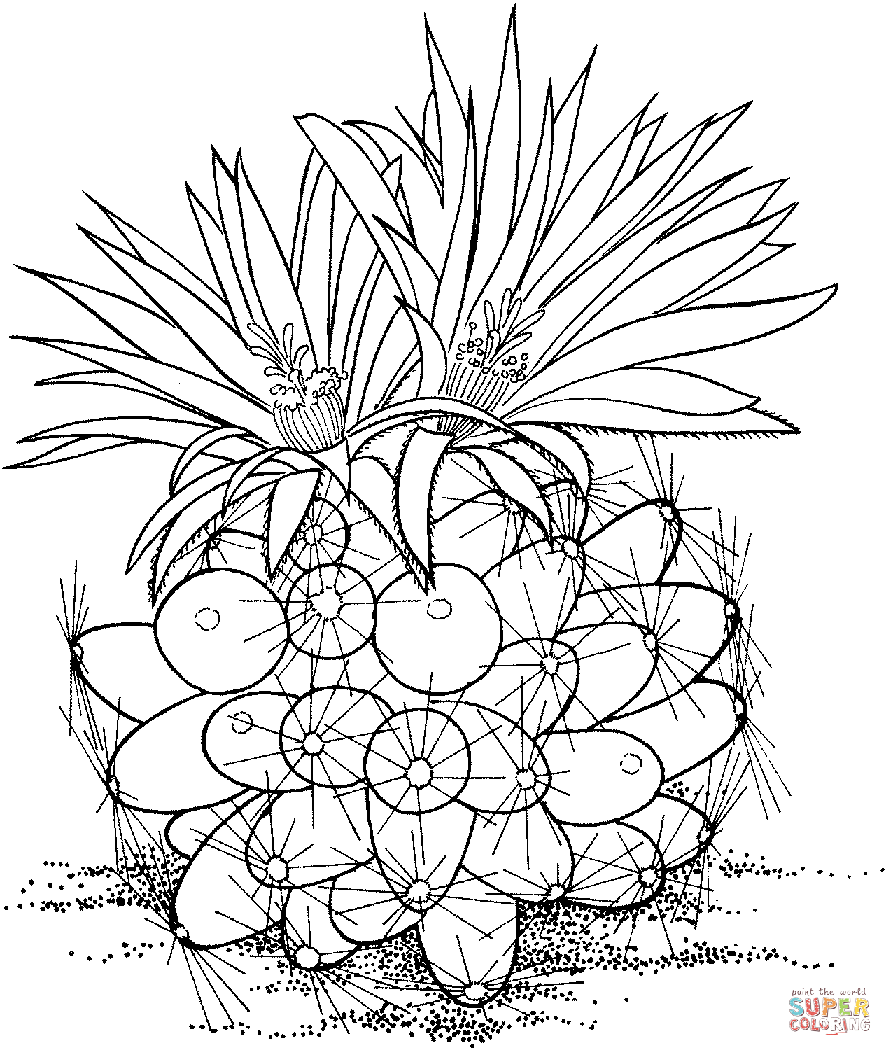 Escobaria Missouriensis Or Missouri Foxtail Cactus Coloring Pages