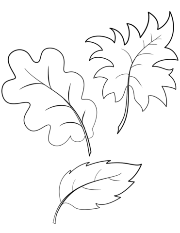 Fall Autumn Leaves Coloring Pages