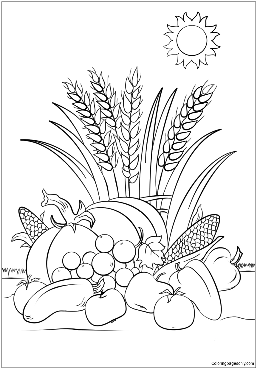 Fall Harvest Coloring Pages - Fall Coloring Pages - Free Printable