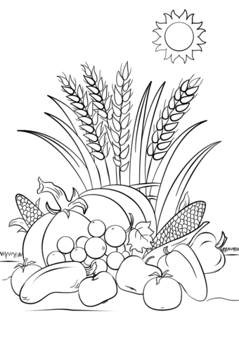 Fall Harvest Coloring Pages
