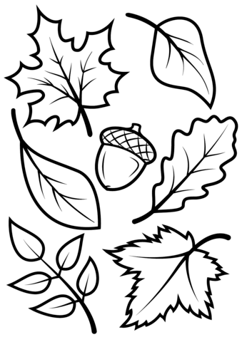Pagina da colorare di foglie autunnali e ghiande