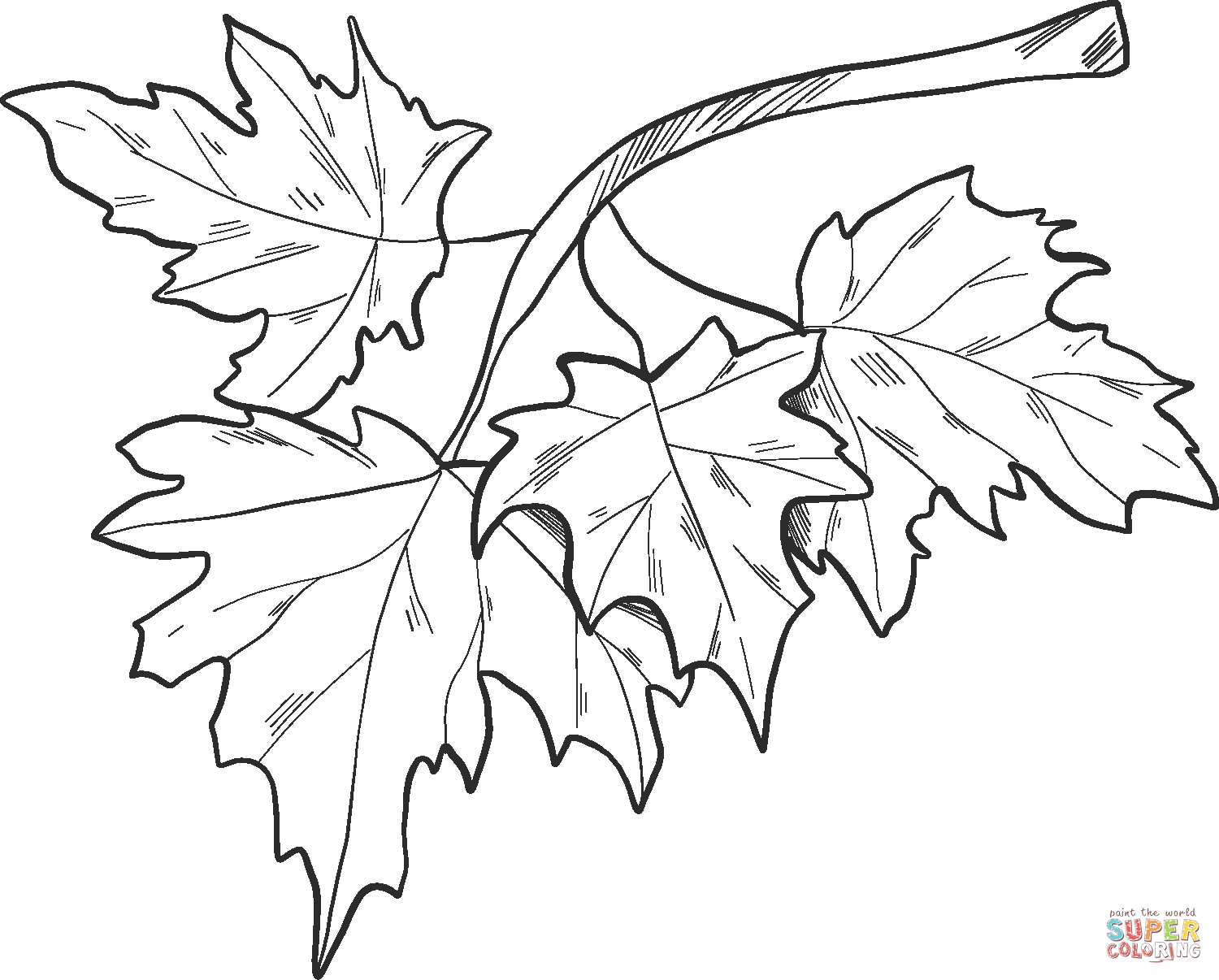 Fall Leaves on a Branch Coloring Page