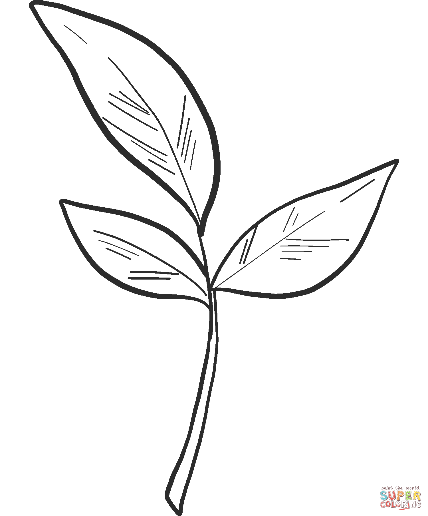 Лист растения раскраска