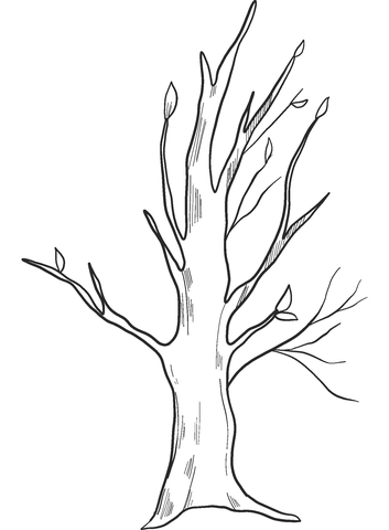 Fall Tree Coloring Pages