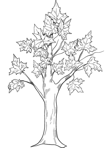 Página para colorir de árvore de outono