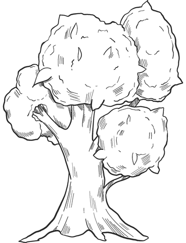 Fall Tree Coloring Pages