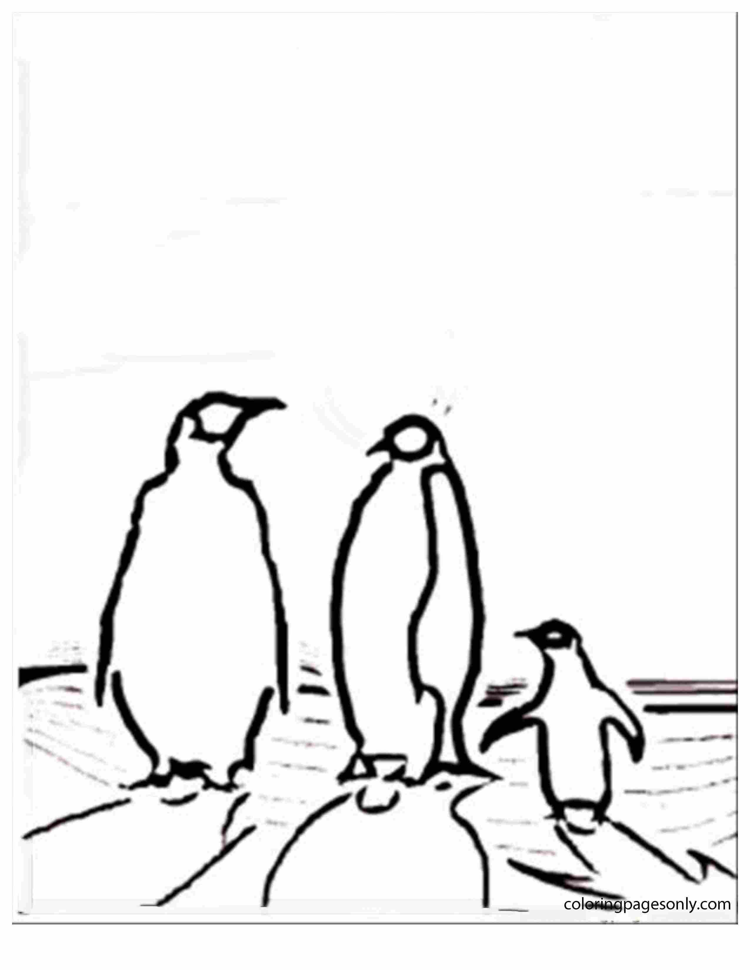 Family of penguins Coloring Page
