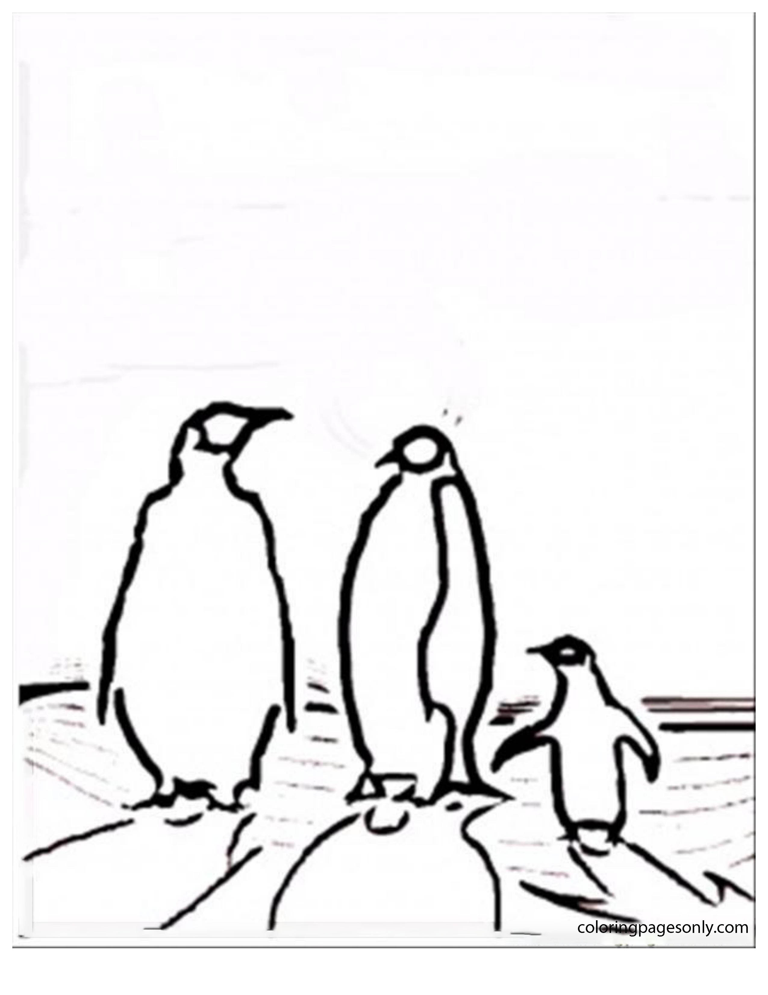 Famiglia di pinguini del Polo Nord e del Polo Sud