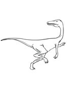 Featherless Velociraptor Coloring Page