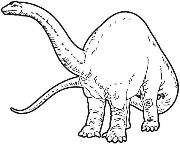 Female Apatosaurus Coloring Page