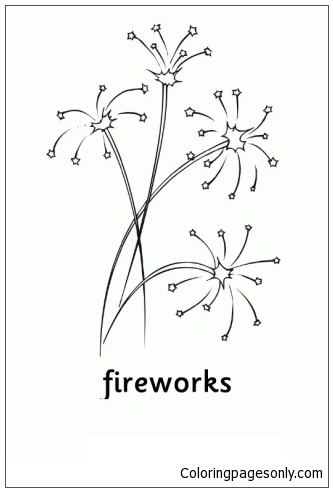 Vuurwerk vanaf nieuwjaar