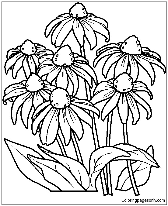 Fleur – image 2 Coloriage